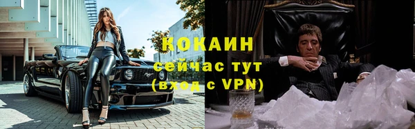 таблы Бородино