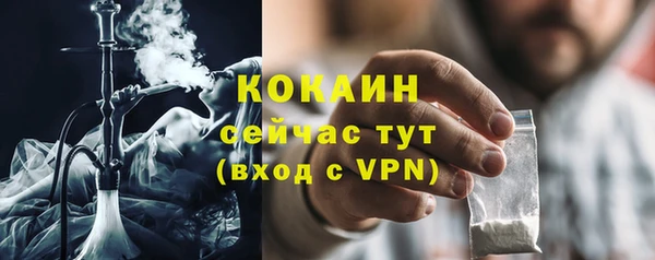 прущие грибы Тайга