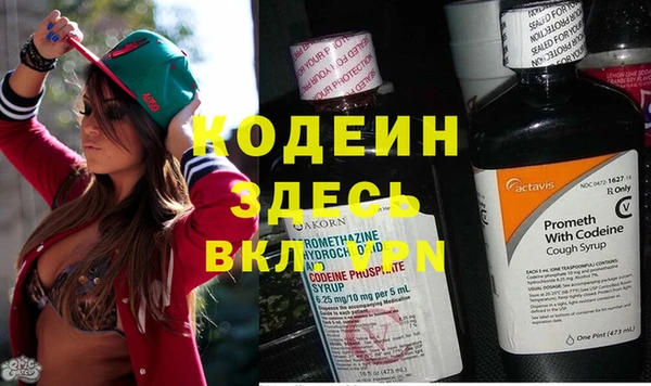 прущие грибы Тайга