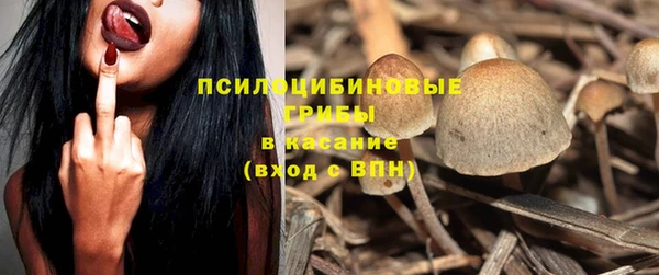 прущая мука Верея