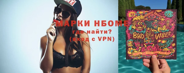 прущие грибы Тайга