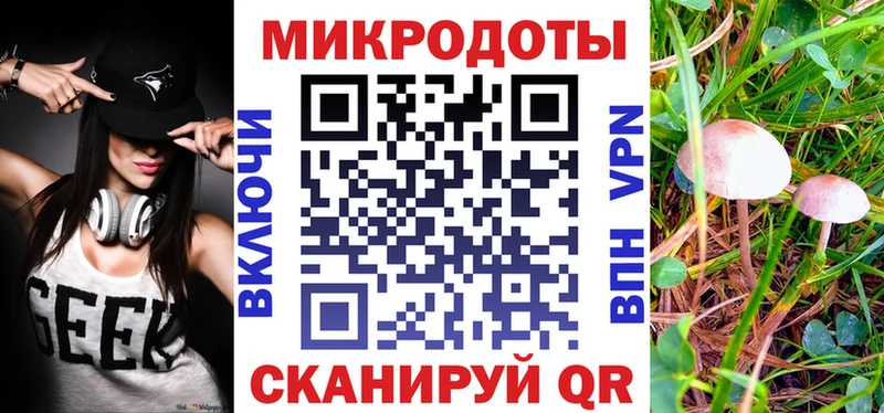 закладки  Лысково  Галлюциногенные грибы Psilocybe 